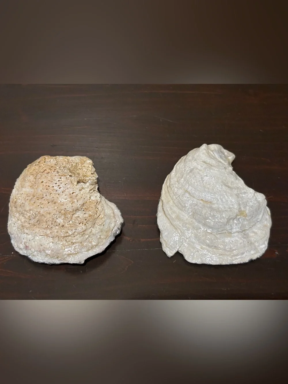 Wedding bridal theme handmade decoupage shells